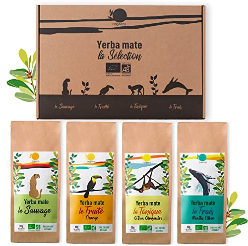 ORIGEENS CAJA MATE ECOLOGICO X 4 | Yerba Mate ecológico 4x80gr | Set mate, idea regalo