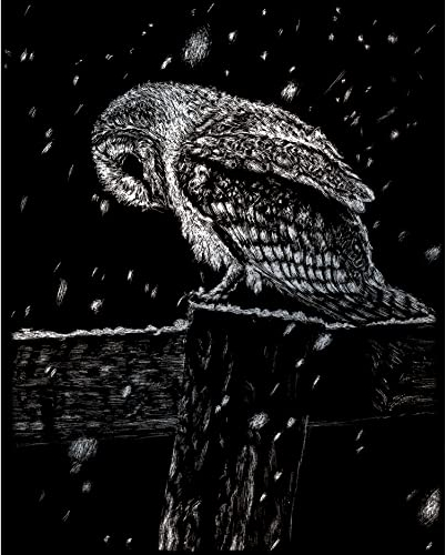 Pracht Creatives Hobby Royal & Langnickel - Kratzbild Eule, Silber, Kratzbilder für Kinder und Erwachsene, mit Kratzstift und Vorlage