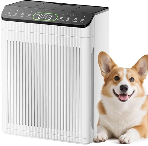 EVALIT Luftreiniger für Allergiker, Air Purifier für Wohnung Raucherzimmer, 200 m², Luftreiniger mit Aromatherapie, PM 2,5 Luftqualitätsmonitor für Rauch, Staub und Gerüche, Weiß, 1 Pack + 3 Modi