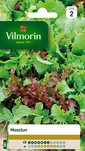 Vilmorin Mesclun | Jardin, Légumes, Graines, Semence, Mesclun, Salade