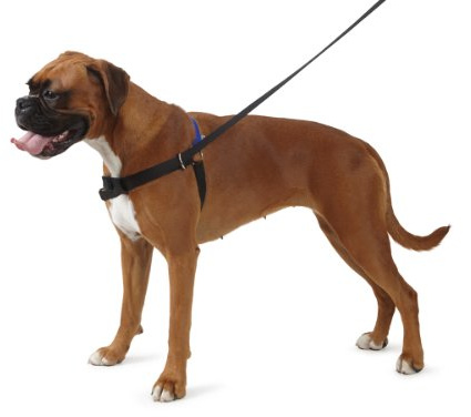 Ancol/Pure Dog Listeners - Stop Pulling Dog Training Harness & Lead Set - Small Size 3-4 (inc DVD)