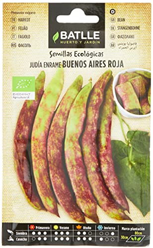 Graines Bio de Batlle - Haricots à rames rouge Buenos Aires (13,66g)