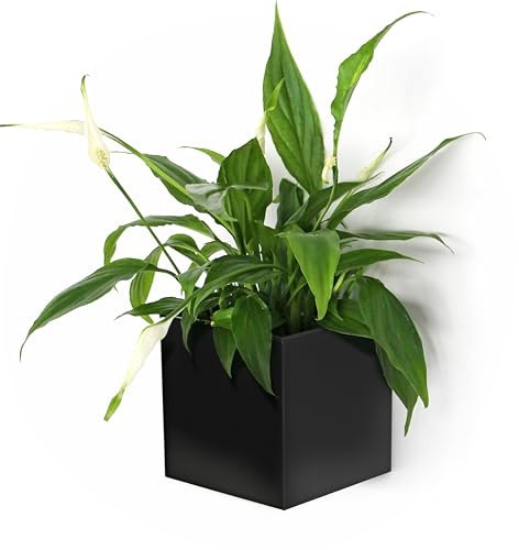 KalaMitica - Cube Magnétique Noir, Cache-Pot ou Récipient de Rangement pour Tableau Magnétique, Réfrigérateur, Armoire Métallique - 9,5 x 9,5 x 9,8 cm
