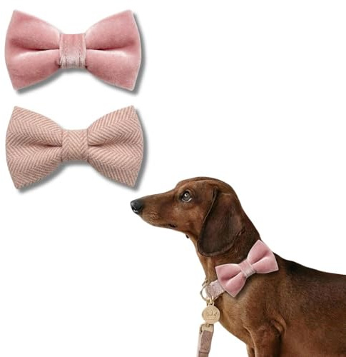 Set med 2 hundflugor i tweed och sammet för hundhalsband | Tails of Glory : Hundhalsband med elastisk knut, hundtillbehör för bröllop och fotografering