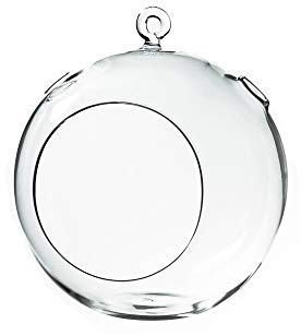 WGV Hanging Terrarium Globe, Width 7, Height 8, DIY Air Succulent Planter, Clear Glass Vase Orb with Flat Bottom, Candle Holder for Windowsill Outdoor Garden Decor, 1 Piece