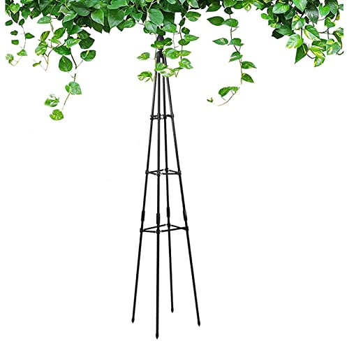 RADAAB Tuteur de Jardin，Support pour Plantes grimpantes Pyramide en métal 90 à 180cm，métal, à Poser,Treillis pour d'Extérieur, Colonne Rosier, Arche Plante grimpante, Black (Size : 47/120cm H)