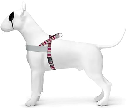 MORSO norskt porslin för hund återvunnet skyline röd/rosa