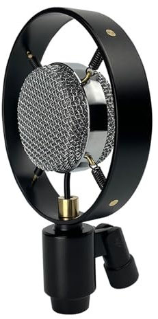 BFLKY Micrófono condensador profesional con grabador vintage, micrófono de estudio para radio en vivo y canto