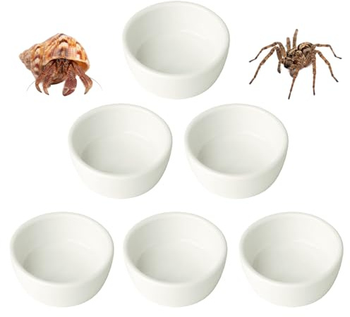 6 Pcs Spider Micro Ceramic Water Bowl, Mini Pet Dish for Spider (1.5 oz)