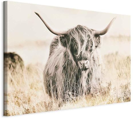 artgeist Acoustic Canvas Wall Art Print Animals 35x24 in - 1pcs Picture with Acoustic Foam Sound Print Artwork Room Acoustics Soundproofing Highland Cow Nature Landscape g-B-0221-b-a
