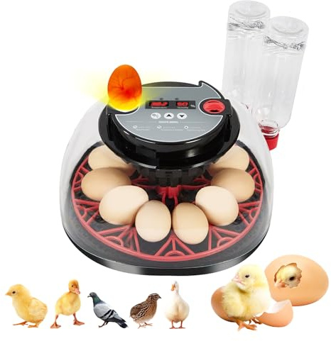 Incubadora Huevos Gallina, Incubadora Automática para 12 Huevos, Control Automático de la Temperatura y Visualización de la Humedad, Incubadora Giratoria Automática de Huevos