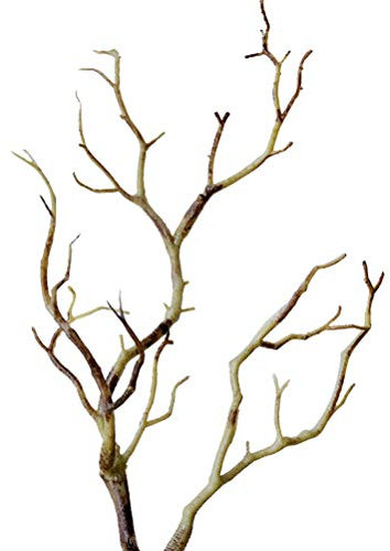 TOYMYTOY Piante Artificiali Rami essiccati per la Decorazione Domestica dell'acquario di Nozze 3pcs (caffè)
