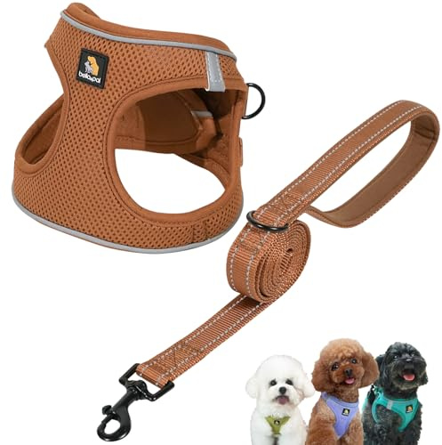 BELLA & PAL Ensemble harnais et laisse pour chiot - Harnais anti-traction pour petit chien - Harnais à enfiler et laisse pour chien de petite taille - Taille L - Moka