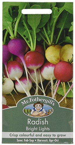Mr Fothergill's 22269 Vegetable Seeds, Radish Bright Lights, Mixed