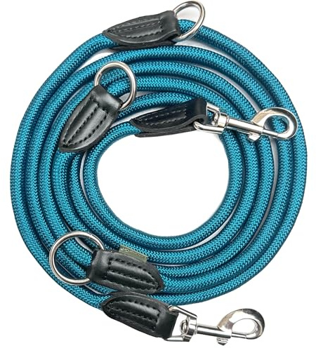 Leisegrün Verstellbare Hundeleine 3m - Robuste Nylon Doppelleine für mittelgroße bis große Hunde, 200kg Zugkraft, 2 Karabiner - Petrol