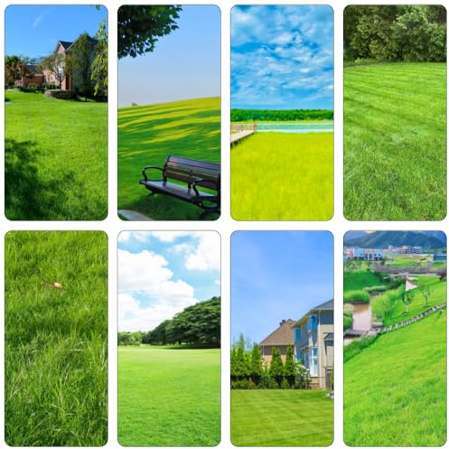 semi di prato perenni resistenti decorazione ufficio verde giardino decorativo interni balcone con letti elevati semi di 2000pcs