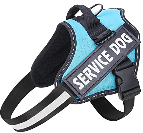 Belababy Arnés para Perros, Anti-Tirón, Transpirable, Ajustable, Ayuda para Paseos y Entrenamiento, Arnés de Pecho, para Exterior, Control Fácil para Perros Pequeños, Medianos y Grandes, M, Azul Claro