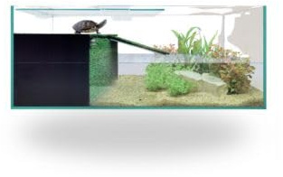ICA REPTISELVA Kit Tortuguera Habitat de Cristal con Accesorios, 80 x 50 x 25 cm, Terrario para Tortugas con Filtro y Complementos