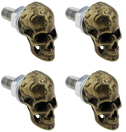 YINETTECH 4 bulloni M6 per targa in acciaio inox, fissaggio a vite per auto, moto, camion, targa, teschio, bronzo