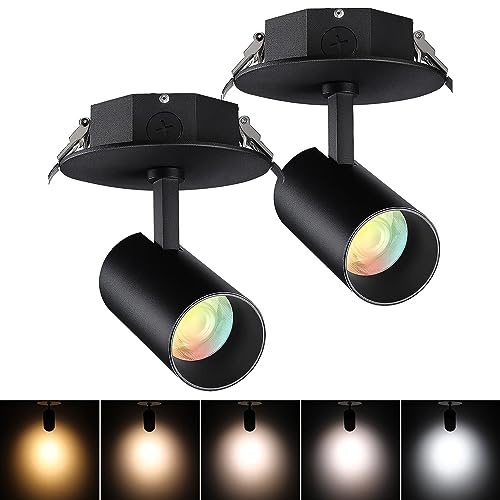 LEONLITE 5 Color Dimmable LED Ceiling Spotlight with Included Junction Box, CRI90 Adjustable Spotlight Directional LED Spot Lights IP65 Outdoor Indoor, 110V-277V, Black Aluminum Housing, Pack of 2