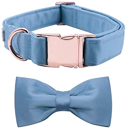 Lionet Paws Hundehalsband mit Fliege - komfortable Seide blau Hundehalsband mit abnehmbaren Fliege für kleine Hunde, Hals 25-40cm