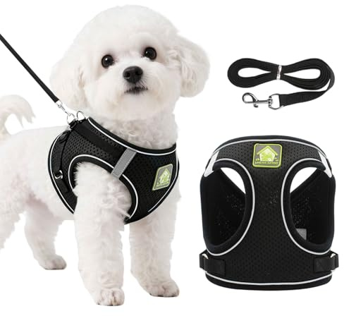 DOINEUFL Set di pettorina e guinzaglio per cani, in morbida rete riflettente, traspirante, leggera, con fibbia di sicurezza, per cani di piccola e media taglia, gatti, cuccioli (nero, S)