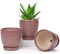 Oairse Blumentopf Keramik Pflanztöpfe 3 Set runde, Succulent Topf kleine mit Ablaufloch und Keramikschale für Sukkulenten Kaktus Indoor Outdoor Garten Home Fensterbank Durchmesser 11,2cm