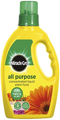 Miracle Gro All Purpose Concentrated Liquid Plant Food 1L