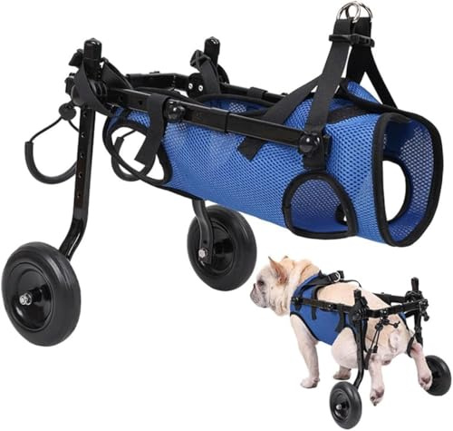 Fauteuil roulant réglable pour chien Membre postérieur Patte postérieure Handicapé Chat Chien Aide à la mobilité Chariot Jambes Réhabilitation Outils de marche légers pour animaux,XS