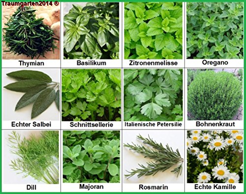 Kräuter Samen Saatgut Set 12 Sorten Küchenkräuter Ohne Gentechnik und samenfest Oregano Thymian Majoran Rosmarin Dill Basilikum Zitronenmelisse Salbei Kamille Petersilie Bohnenkraut Schnittsellerie