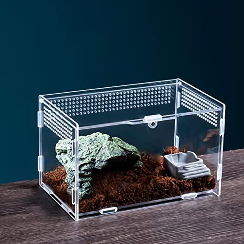 Nizirioo Mini Transparent Acryl Terrarium: Reptil Fütterungsbox, Critter Box für Spide, Skorpion, Käfer, Gottesanbeterin, Reptilien Lebensraum, 20x12x12cm
