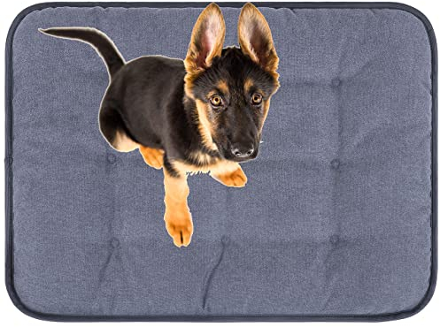 MyBestBuddy Hundekissen Pik grau 80x60 cm L, allergikerfreundlich (100% Polyester), rutschfest - 40°C waschbar mit flauschigem Stoffbezug - Hundematte BZW. Hundebett für mittelgroße Hunde, 80 x 60 cm