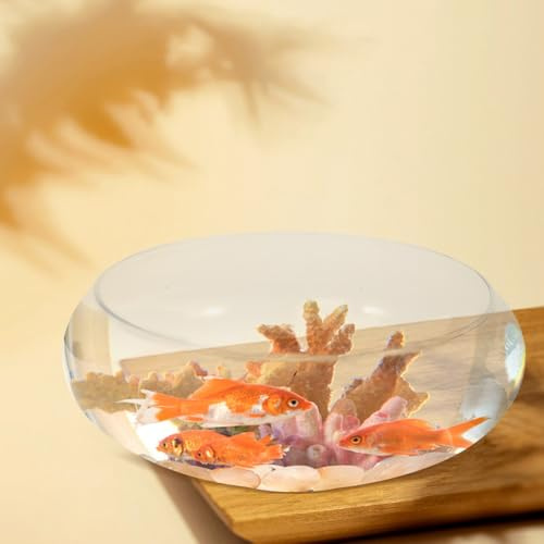 Vaso trasparente per pesci in, rotondo, profondo, terrario, ciotola per ninfee, bocca larga, vaso per piante acquatiche, vaso idroponico in, L