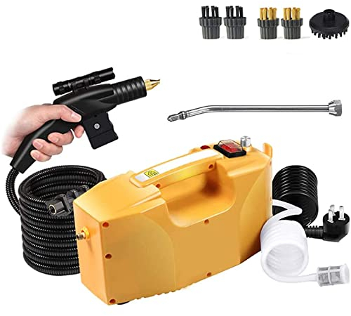 Pulitore a vapore portatile ad alta pressione da 2600 W, rondella a vapore professionale con temperatura di uscita 115 ° C 200-300 ml/min 250-300 kpa, macchina per la pulizia per auto da cucina