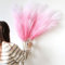 6 Pcs Pampas Secas Decoracion Grandes 113 Cm Blanquecino Hierba De Pampa Simulada Hierba Artificial De Pampa para Sala De Estar, Hogar, Piso, Jarrón, Decoración Boho（Rosa Claro）