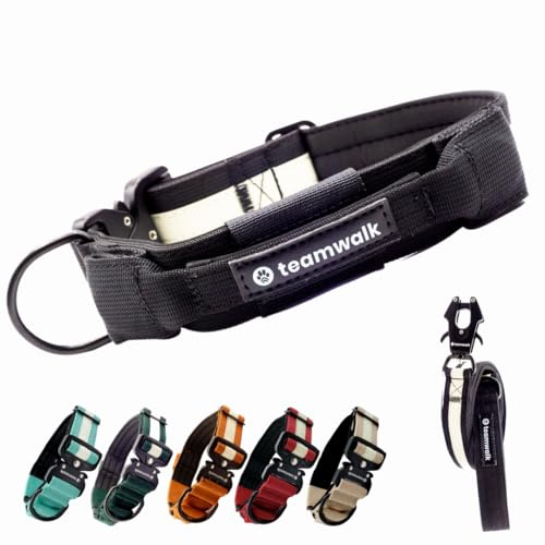 teamwalk® Premium Hundehalsband - mit Magnetgriff, Leuchtstreifen, Air-Tag Tasche, individuell einstellbar, weiche Polsterung, robuste Schnalle, mit passender Leine erhältlich, JETZT NOCH Leichter(S)