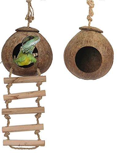 PINVNBY Natürliche Kokosnussschale, Gecko-Nesthaus, Reptilien-Verstecke, Bettkäfig-Spielzeug mit Leiter, Aufhängeschlaufe für Eidechsen, Chamäleon, Gecko, Schlangen, Kleintiere, 2 Stück