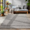 SIMPEX Flauschiger Teppich Wohnzimmer Schlafzimmer Läufer Flur Esszimmer Küchenteppich Hochflor Einfarbig Modernes Design 30 mm Florhöhe Kuschelweich, Hellgrau, 300 x 400 cm