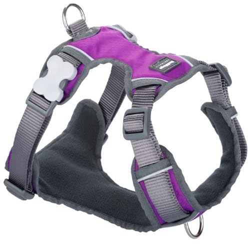 Red Dingo Dingo Hundegeschirr, 47-73 cm, 56-80 cm, Violett, L