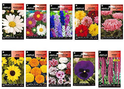 Semillas flores 10 sobres variados (Amaranto, Clavel Rosa, Pensamiento azul, Clavel China, Dalia doble, Espuela, Margarita gigante, Tagete, Girasol enano, Reina Margarita, Amaranto)