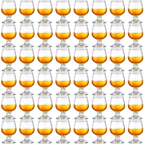 Qunclay 48 Pcs Shot Glasses Shot Glass Cute Cognac Glasses Small Brandy Snifter for Tasting Brandy Drinking Port Glasses for Whiskey Brandy Wine Beer (5oz)