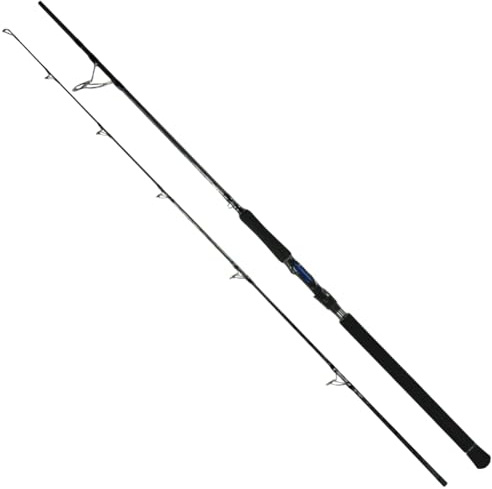 HolyCatch® Spinnrute aus Carbon – Angelrute für Hecht, Zander & Wels – Extra Starkes Rückgrat, weiche Spitzenaktion, salzwasserfest – Ideal für Weite Würfe & präzises Spinnfischen (2,40m)