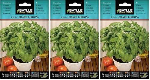 Battle - Semi Aromatici Basilico Gigante Genovesa (Semi - 20-40Cm) (Confezione da 3)