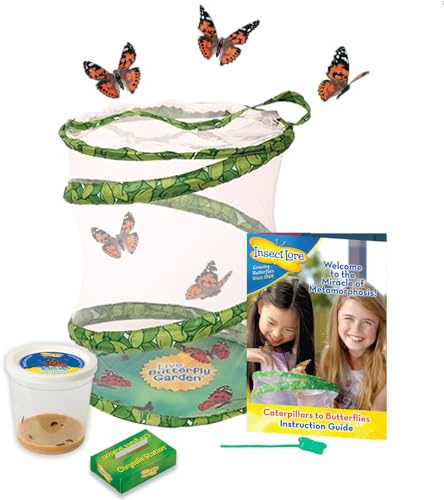 Insect Lore Butterfly Garden with a Cup of 3-5 Live Baby Caterpillars and Food