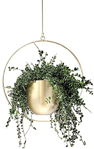 Anawakia Hängender Blumentopf Metall Hängend Blumenampel Hängende Blumenampel Metall Dekorationstopf Decke hängender Übertopf Pflanzkorb (Gold Runden)
