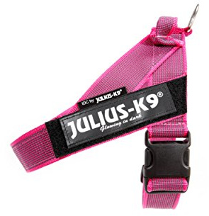 JULIUS-K9, färg och grå IDC-bälte, 0, pink-gray