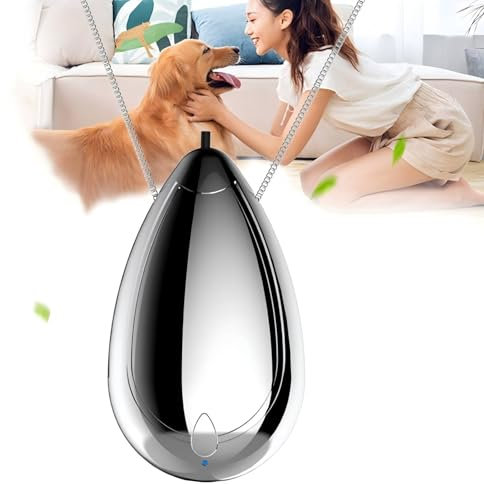 AloveH Portable Air Purifier, Rechargeable Personal Air Purifier Necklace, Wearable Mini Air Ionizer Eliminates Pollen,Smoke,Dust, for Outdoor,Travel(Silver)