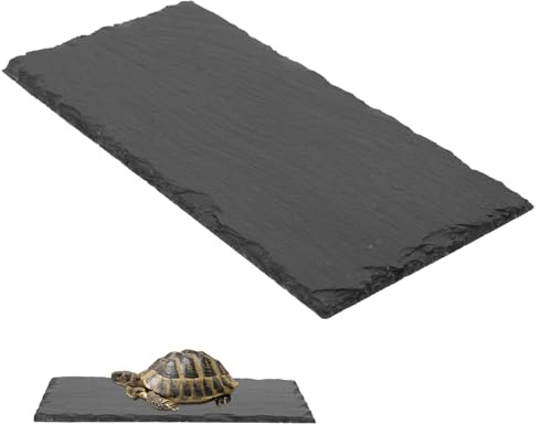 LOLIPPYY Assiette à Nourriture en Pierre pour Reptiles et Lézards, Plateau en Ardoise Facile à Nettoyer, Environnement Sûr pour Alimentation, pour Aquarium et Terrarium