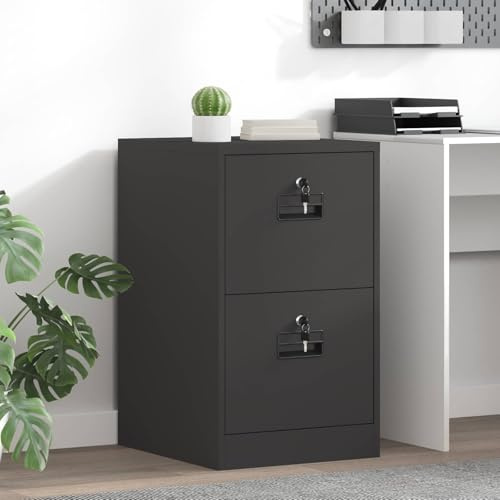 INLIFE Cabinet de Dossier Noir 44 x 50 x 106.5 cm Acier Laminé à Froid-891592