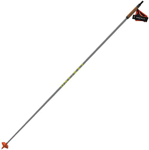 FISCHER Bâtons nordiques Lightweight High Performance Storm 6 Race Ghost Grey - 165 cm